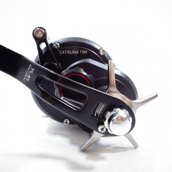 19キャタリナ 15H